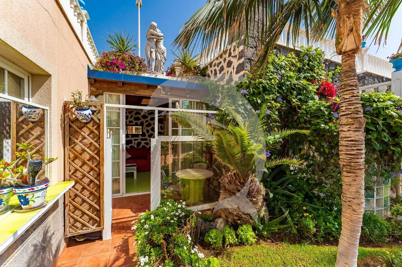 Apartamentos Los Delfines Эль-Медано 0*,